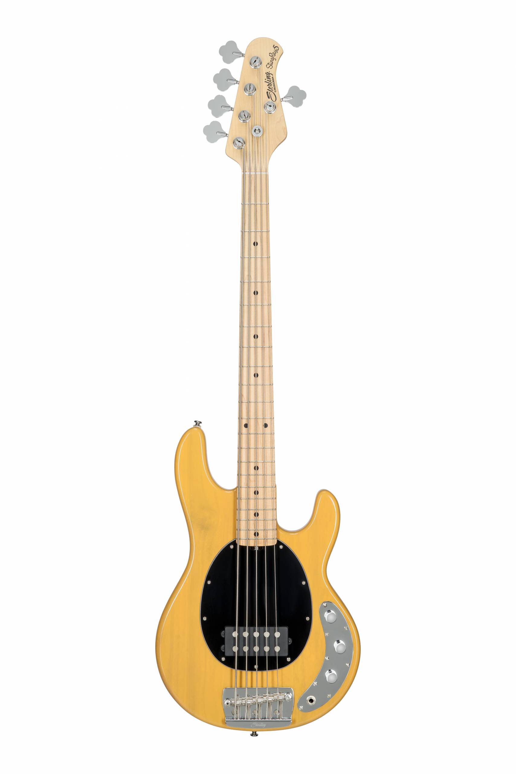 Sterling by Music Man Ray25CA 5 String Bass